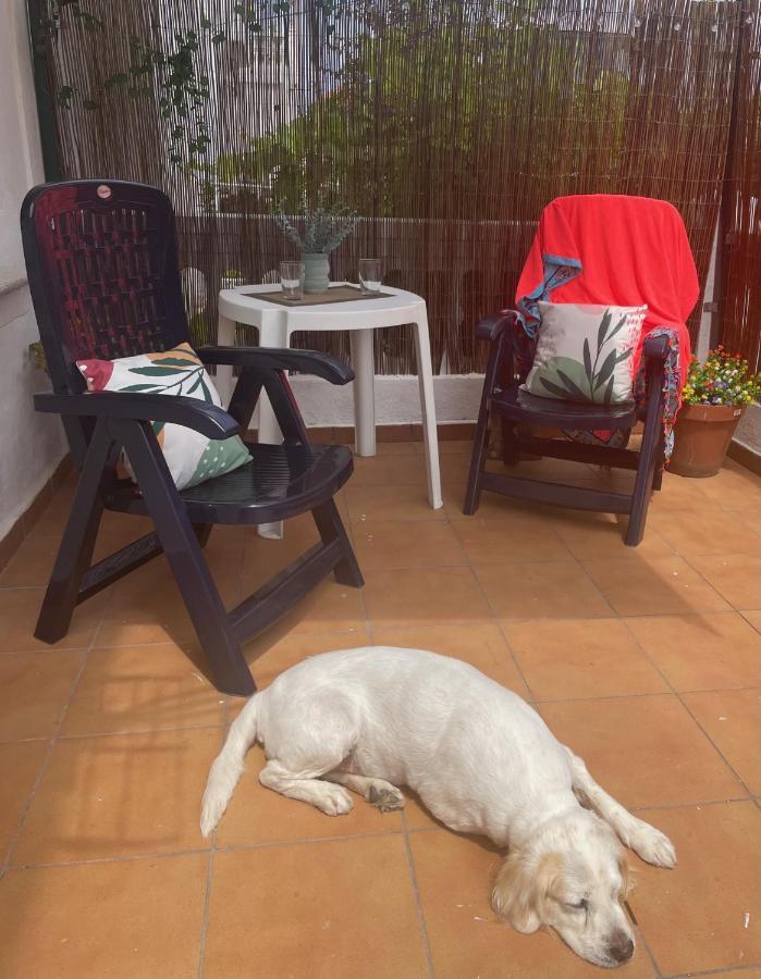 Appartement Flori, Con Terraza Y A 300 M De La Playa En Suances, Cantabria *